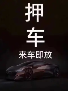 順德車輛抵押貸款公司月息九厘